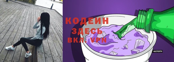 мяу мяу мука Няндома