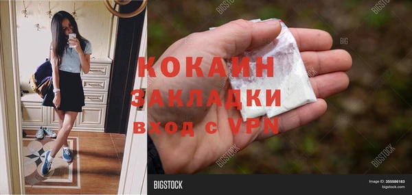 мяу мяу мука Няндома