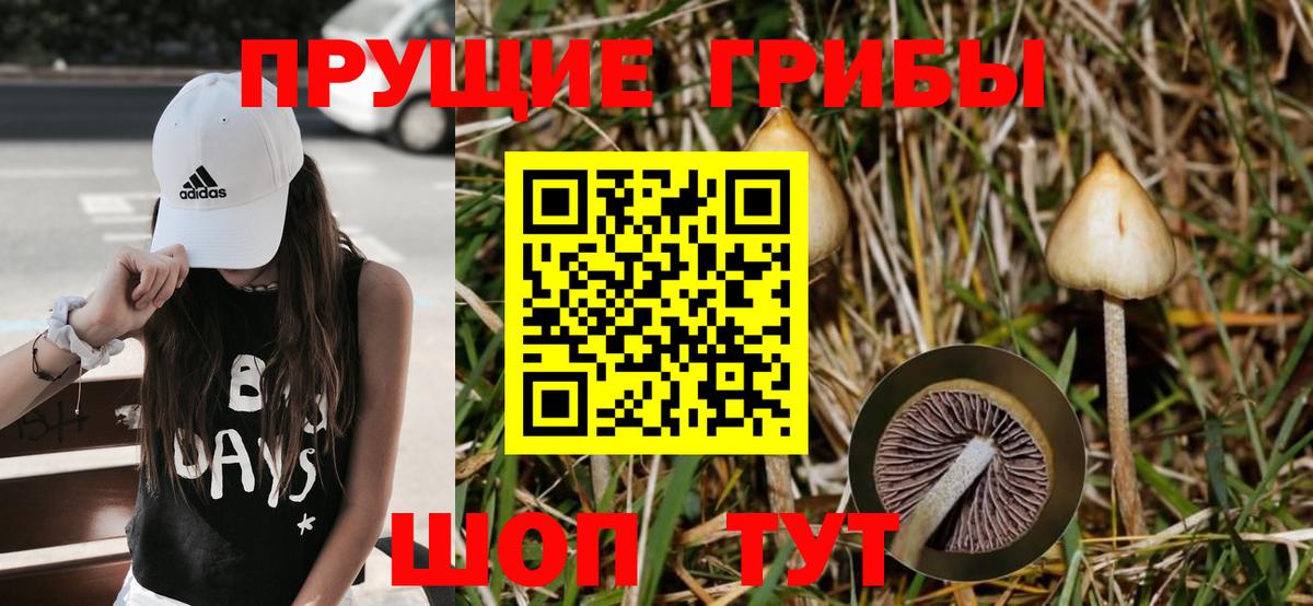 Галлюциногенные грибы мухоморы  Черногорск  Галлюциногенные грибы прущие грибы 