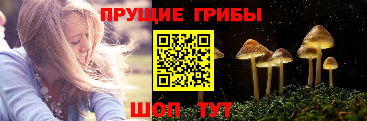Где купить наркотики?  Гашиш  Каннабис  NBOMe  ГАШИШ  Вход с VPN  Черногорск  Мефедрон  