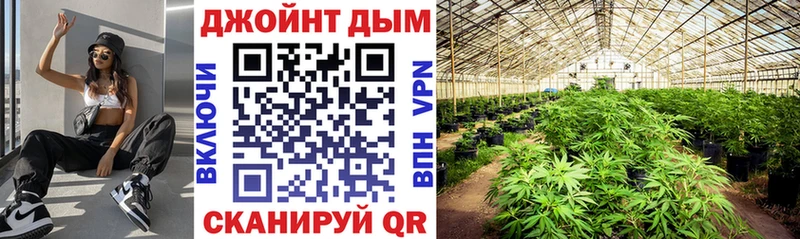 даркнет как зайти  Черногорск  Бошки марихуана THC 21% 